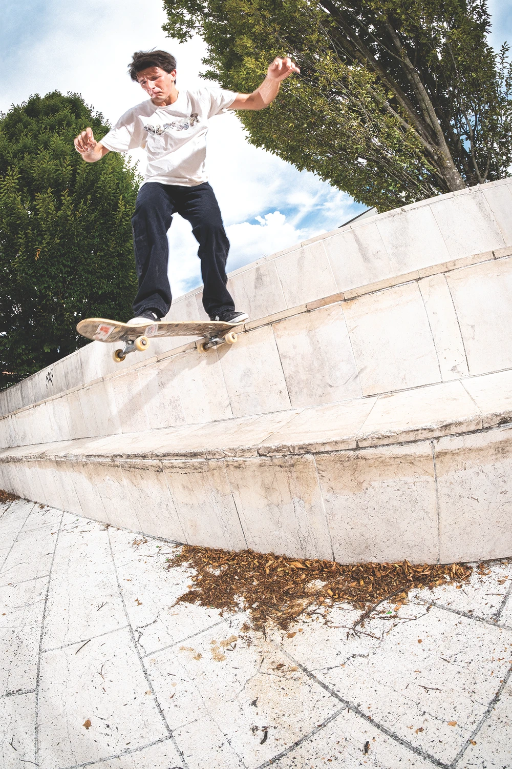 John Sanders BS tailslide