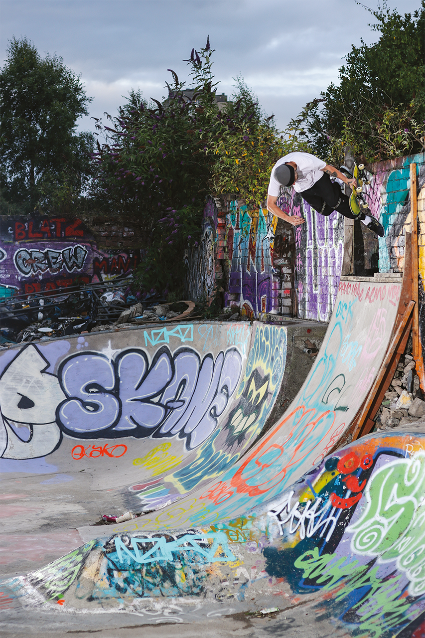 Scotch back boneless wallplant Arches DIY