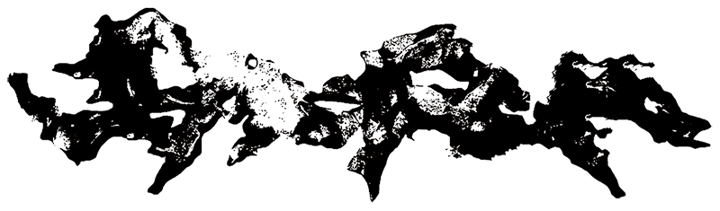 Francesco da Tos illustration